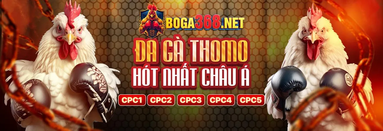 Cam kết của dom88 nhà cái về môi trường chơi công bằng